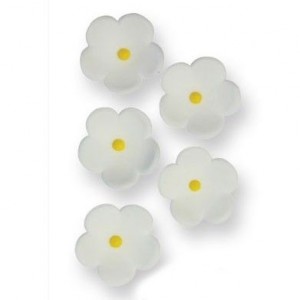 PME white Blossoms